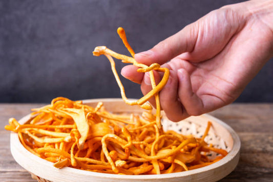 Cordyceps benefits